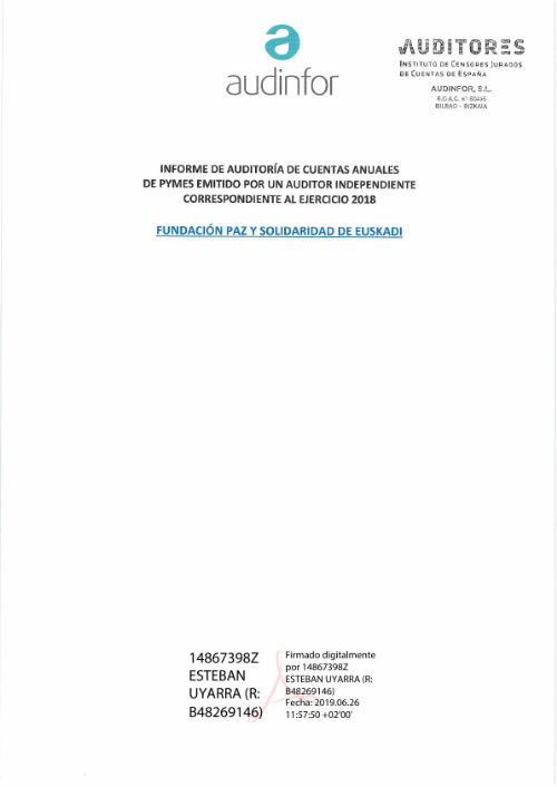 INFORME AUDITORIA 2017